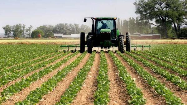 توسعه واحد های تولیدی کشاورزی از اولویت های اصلی خراسان شمالی است