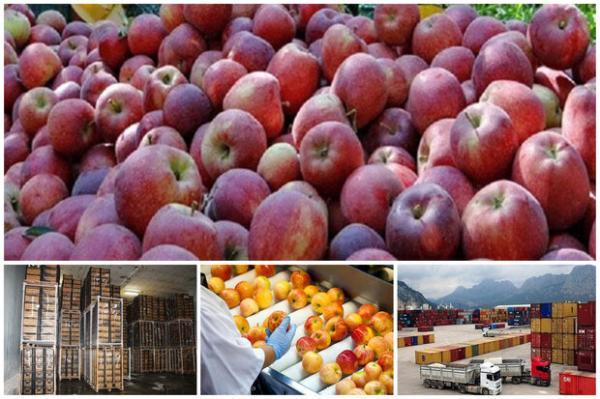 برندینگ محصولات کشاورزی آذربایجان غربی مورد توجه قرار گیرد