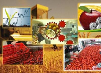صدور پروانه برای 47 واحد صنایع تبدیلی و غذایی در فارس